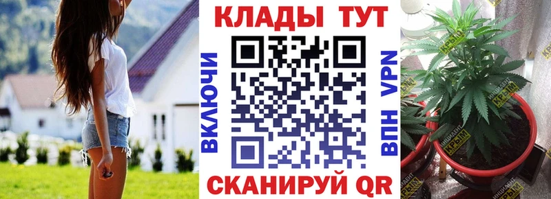 Купить закладку Жуковский Alpha PVP  Марихуана  Мефедрон  Гашиш  КОКАИН 